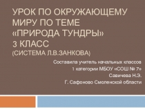 Презентация к уроку окружающий мир на тему Природа тундры