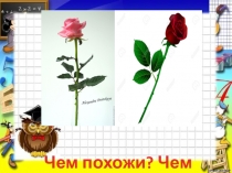 Презентация по математике на тему Чем похожи.Чем отличаются.(1 класс) Перспектива