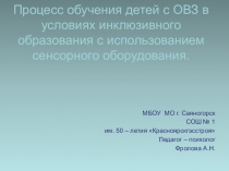 Процесс обучения детей с ОВЗ в условиях инклюзивного образования с использованием сенсорного оборудования