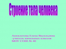 Презентация по окружающему миру Строение тела человека ( 4класс )