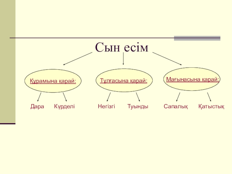 Сын есім презентация 5 сынып орыс сыныбы