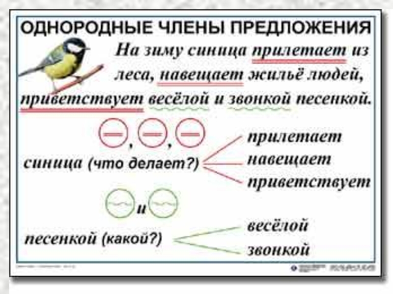 Однородные члены предложения презентация