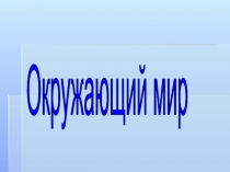 Презентация по окружающему миру Чудесные превращения