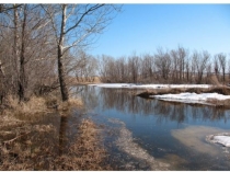 Презентация к технологической карте № 1  Весна в музыкальном городе