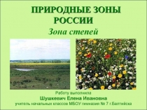 Презентация по окружающему миру на тему Зона степей
