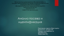 Анализ посева и идентификация