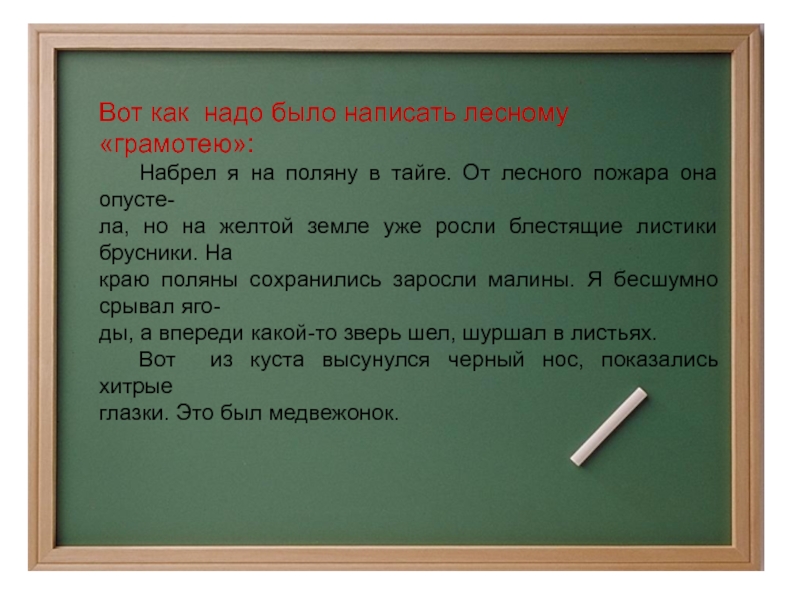 Встреча в тайге изложение 5 класс план