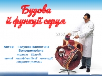 Будова й функції серця