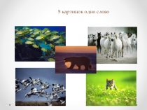 : Органы движения животных