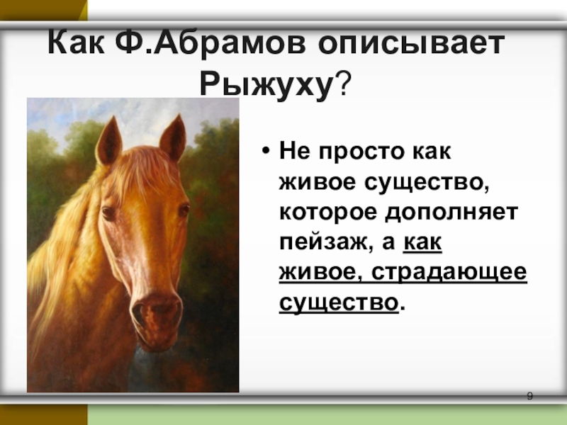 Рассказ о чем плачут лошади краткое содержание. О чём плачут лошади. Ф.Абрамов о чем плачут лошади. Почему плачут лошади. О чем плачут лошади иллюстрация.
