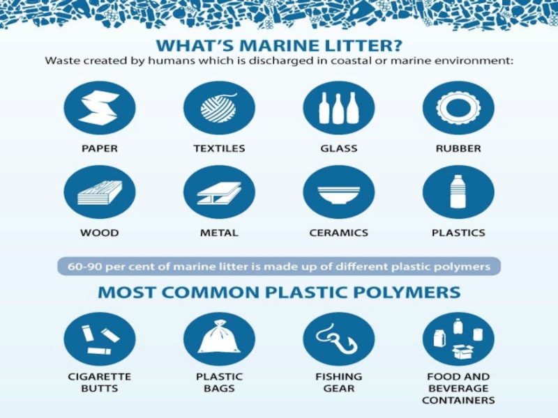 Marine litter презентация