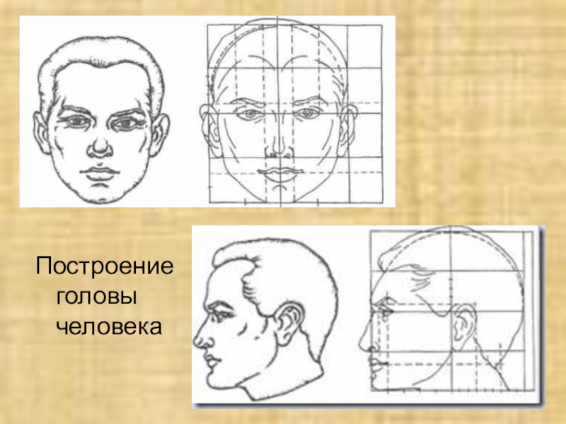 Скульптурное изображение головы и верхней части тела человека