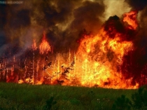 Презентация по окружающему миру на тему Пожарная безопасность