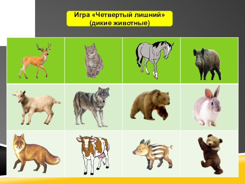 Презентация для дошкольников животные дикие и домашние животные