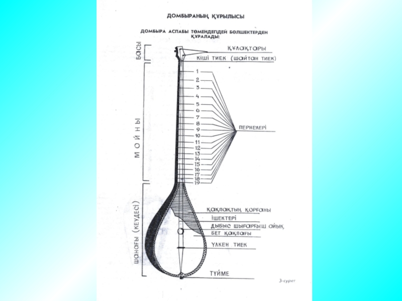 Домбыраның ішегі мен тегі қандай болады. Строение домбры. Строение домбыры. Домбра чертежи. Строение домбры на русском.