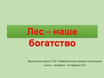 Презентация Лес - наше богатство