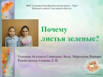 Исследовательская работа Почему листья зеленые