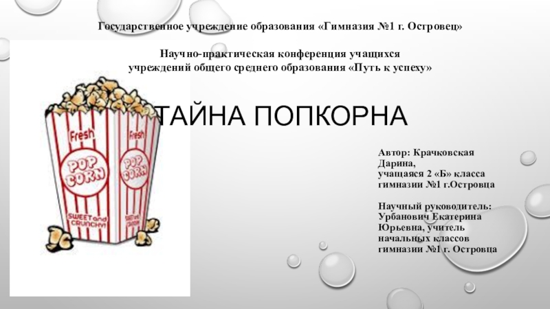 Презентация к исследовательской работе