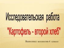 Исследовательская работа на тему: Картофель – второй хлеб4 класс Презентация