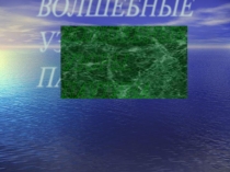 Презентация к уроку ИЗО по теме: Рисование паутины для 2 класса