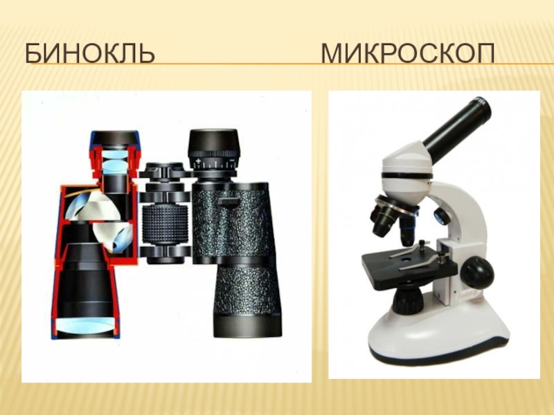 Презентация по физике микроскоп