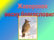 Презентация Жаворонок весну благословил...