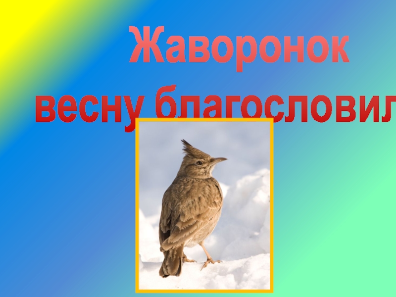 Презентация Презентация Жаворонок весну благословил...