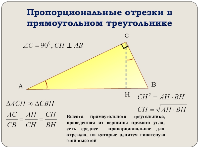 Пропорциональные отрезки 8