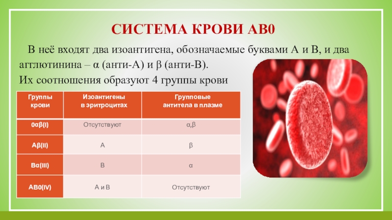 Проект наследование групп крови