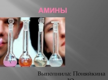 Презентация по химии на тему Амины (10 класс)