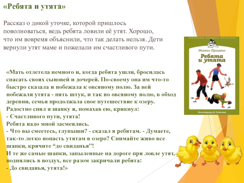 «Ребята и утята» Рассказ о дикой уточке, которой пришлось поволноваться, ведь ребята ловили её утят. Хорошо, что