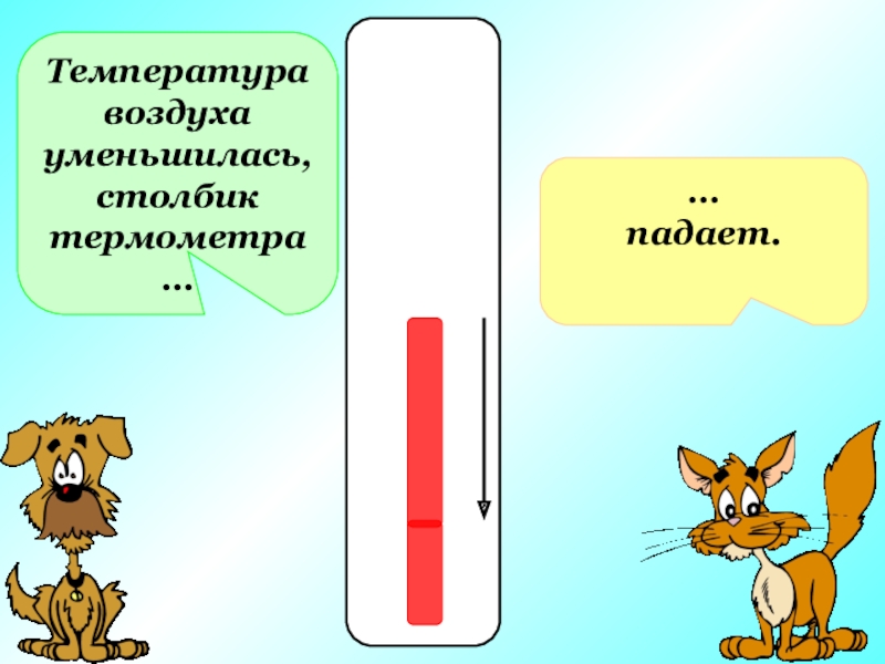Распределение температур у поверхности земли. Ртутный стлб в термиометре. Как определить температуру воздуха 6 класс. Температура воздуха уменьшается с. Температура воздуха уменьшается с.