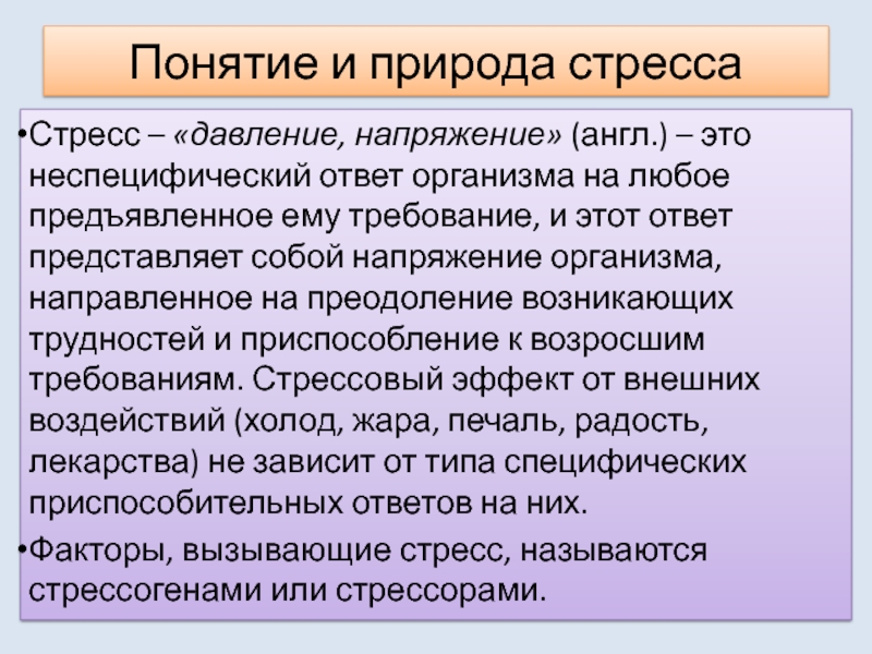 Профессиональный реферат