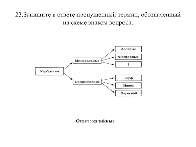 Выберите термин не обозначающий схему