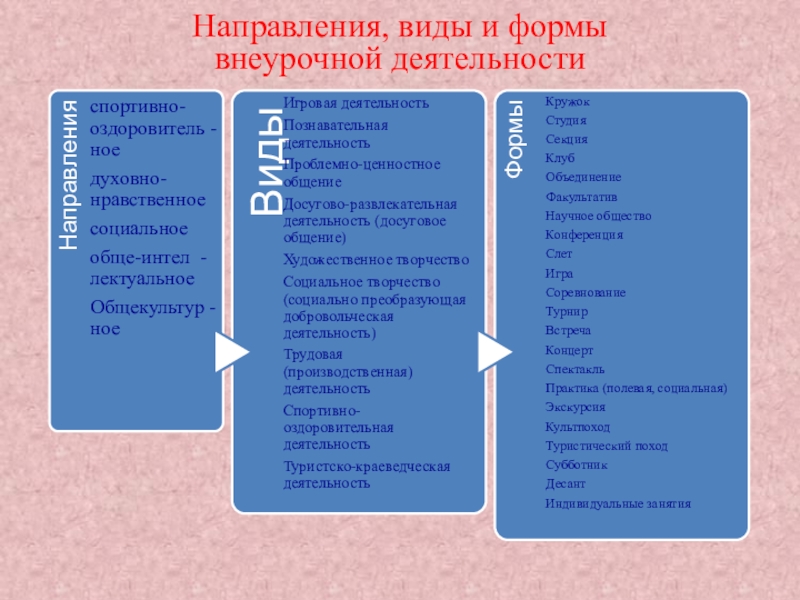 Направления обществознания. Виды внеурочной работы по обществознанию. Виды направлений. Виды внеклассной работы по обществознанию истории. Индивидуальная форма внеурочной работы по обществознанию.