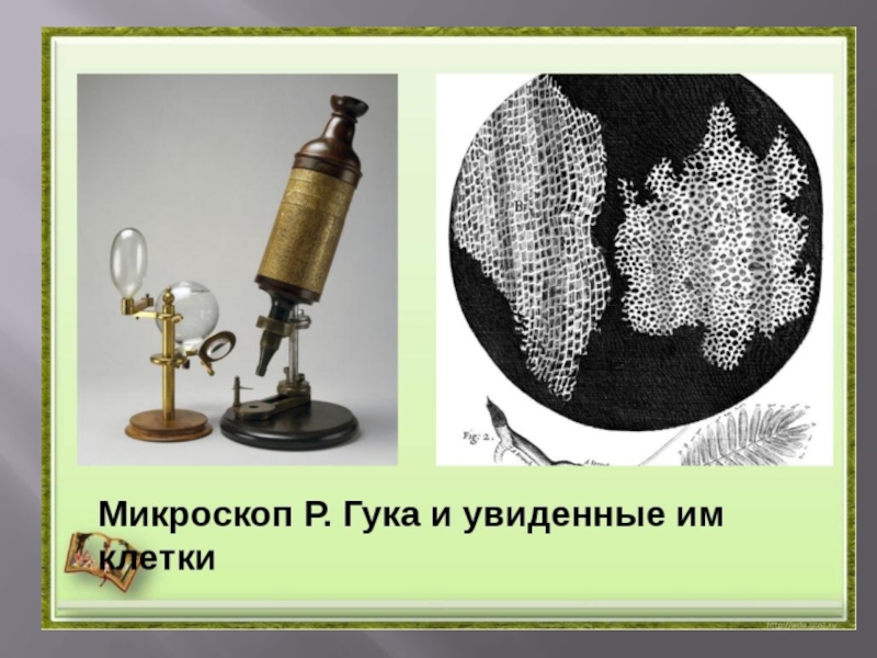 Микроскоп 17 века картинки