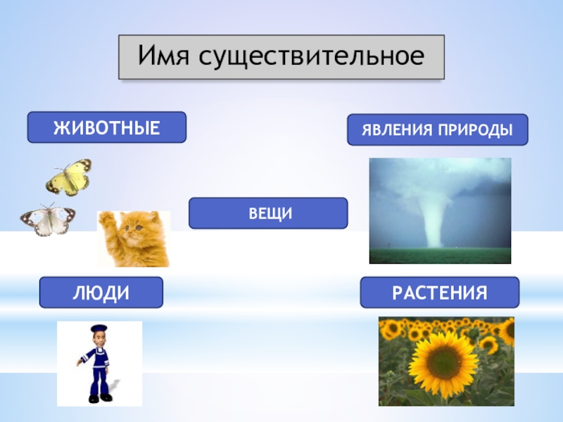 Обобщение по теме имя существительное 2 класс школа россии презентация