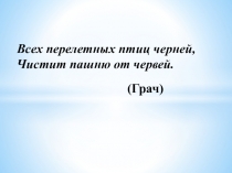 Презентация по ИЗО Птицы