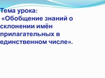 Презентация по русскому языку на тему Обобщение знаний о склонении имен прилагательных в единственном числе