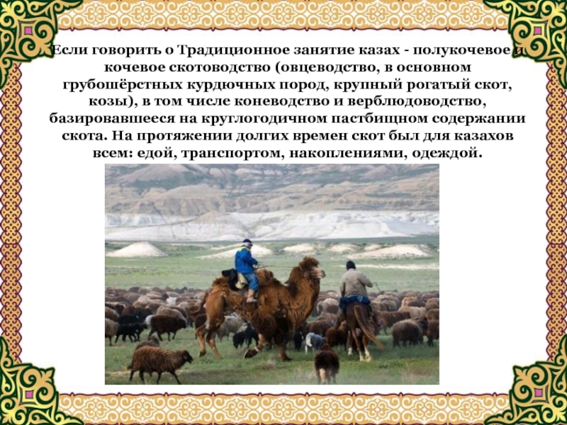 Если говорить о Традиционное занятие казах - полукочевое и кочевое скотоводство (овцеводство, в основном грубошёрстных курдючных пород,