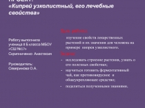 Презентация по биологии на тему Лекарственные растения. Кипрей узколистный.