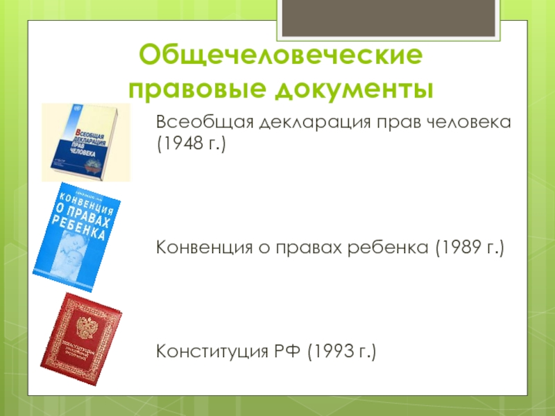 Презентация 9 класс социальные права человека 9 класс