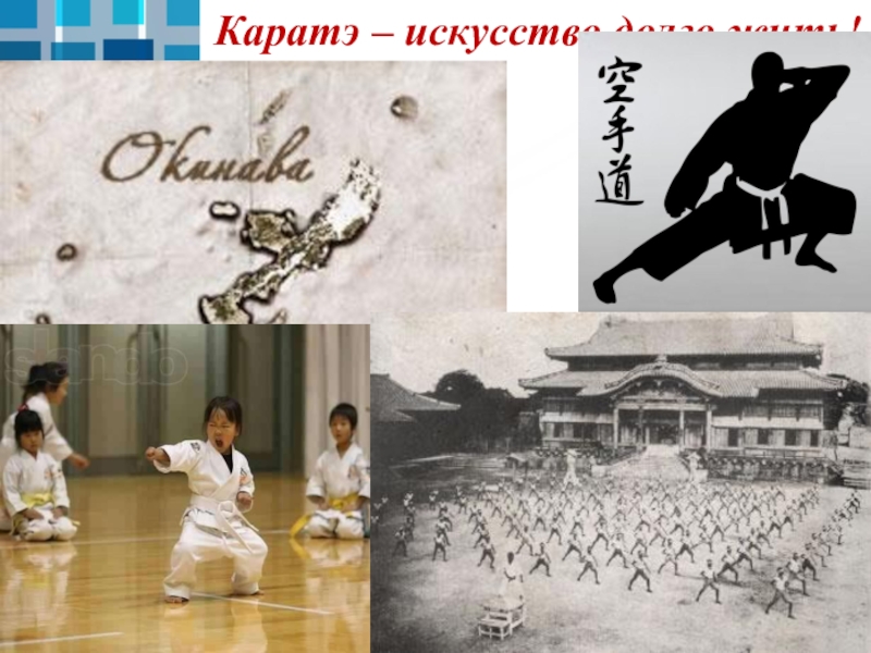 карате живи. уличное каратэ. боевые искусства. каратист киокушинкай. тренировка каратистов.