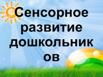 Презентация опыта работы Сенсорное развитие дошкольников