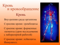 Разработка урока биологии на тему Внутренняя среда организма. Кровь (8 класс)