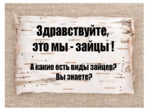 Презентация по окружающему миру Зайцы