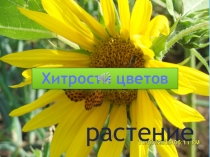 Презентация на научно практическую конференцию мои первые шаги в науку