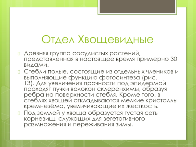 Документ с каким именем является презентацией биология доклад