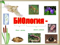 Биология наука о живых организмах