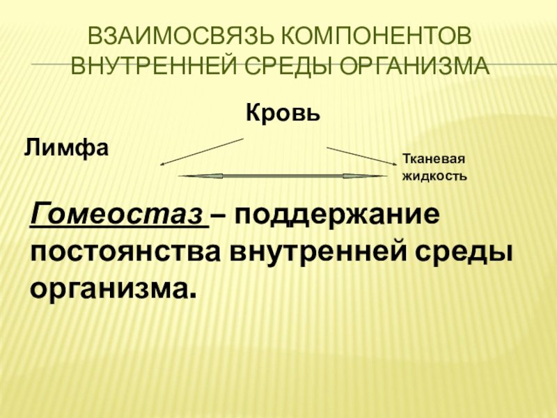 Компоненты внутренней